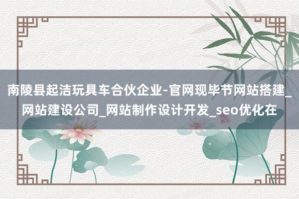 南陵县起洁玩具车合伙企业-官网现毕节网站搭建_网站建设公司_网站制作设计开发_seo优化在